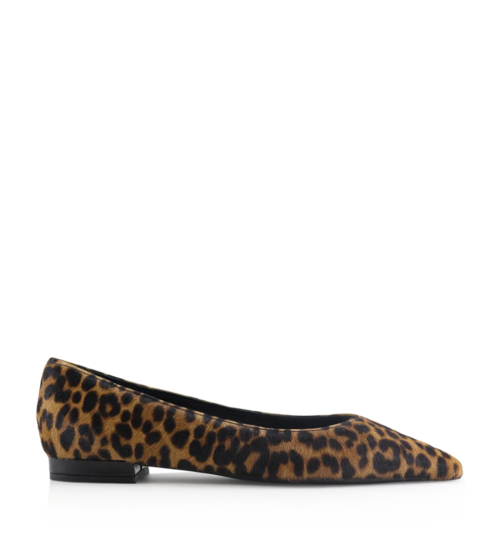 Gisela ballerinaer, leopard