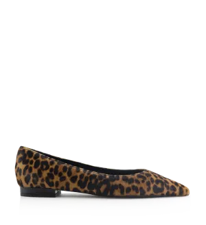 Gisela ballerinaer, leopard