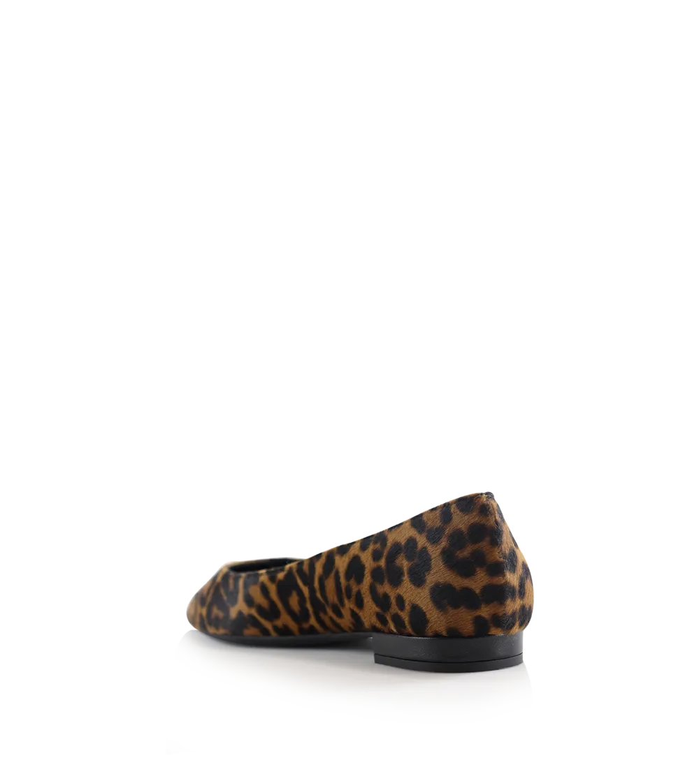 Gisela ballerinaer, leopard