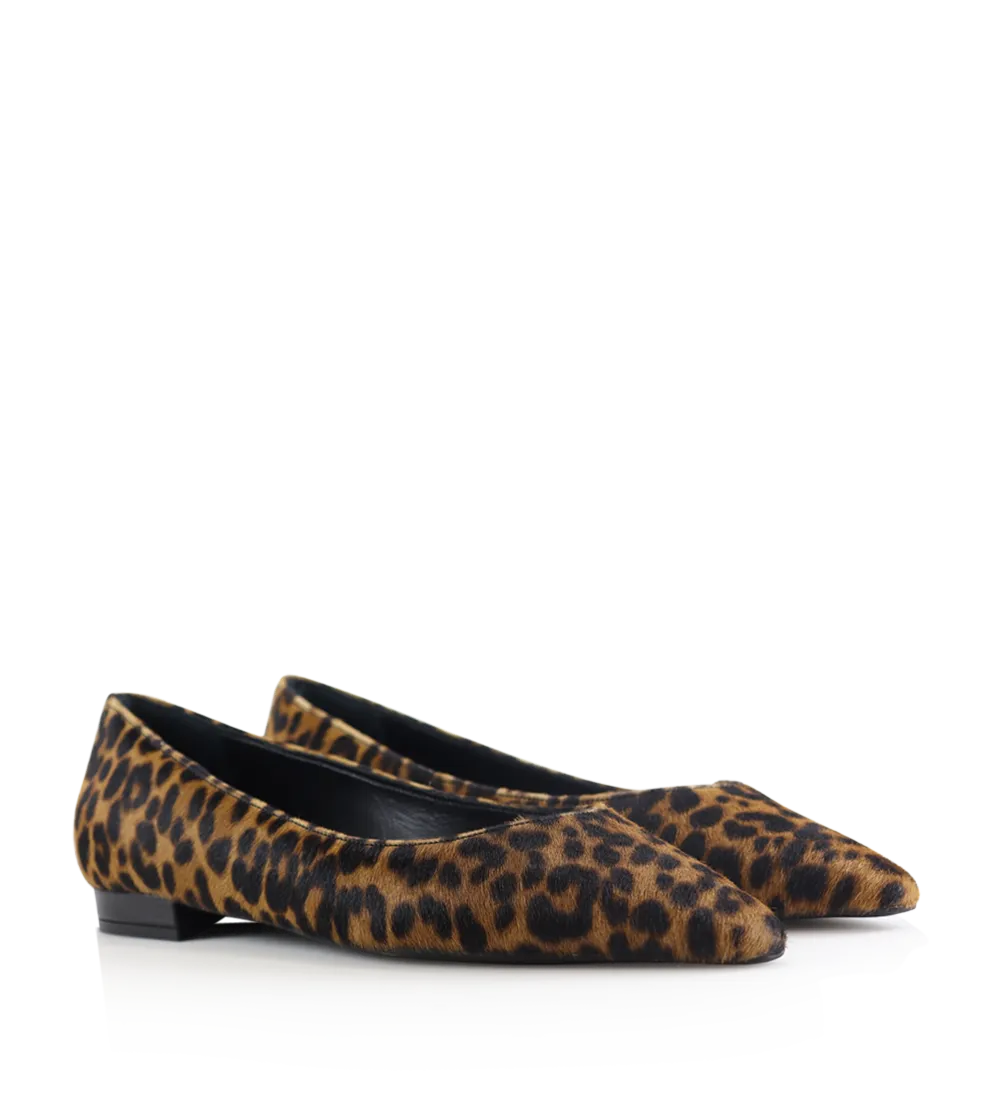Gisela ballerinaer, leopard